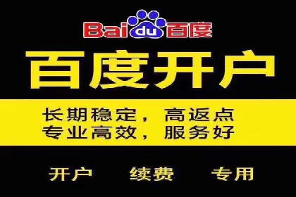 某某sem推广公司案例揭秘：如何精准定位目标用户群体